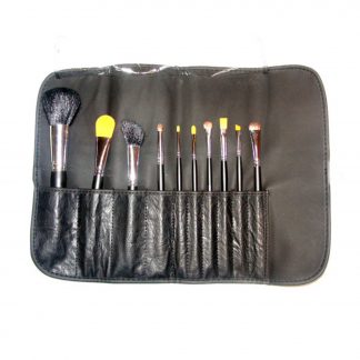 pro brush set
