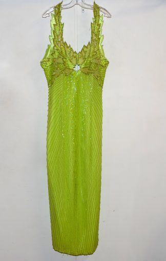 Special Performance Gown