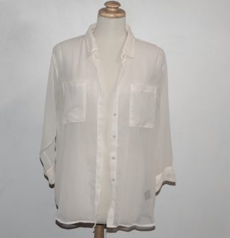 Transparent Blouse